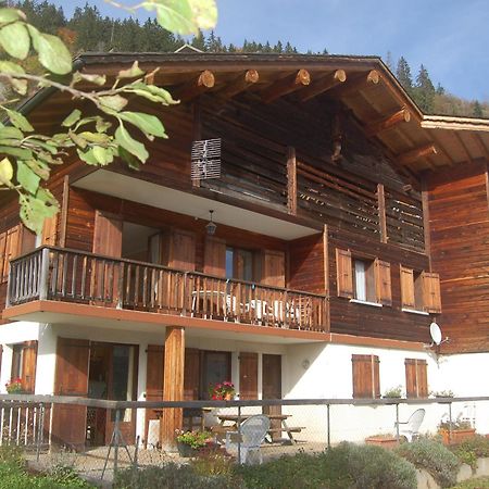 Appartement 6 Personnes, Animaux Acceptes, Parking - Le Grand-Bornand - Fr-1-467-39 Exterior foto